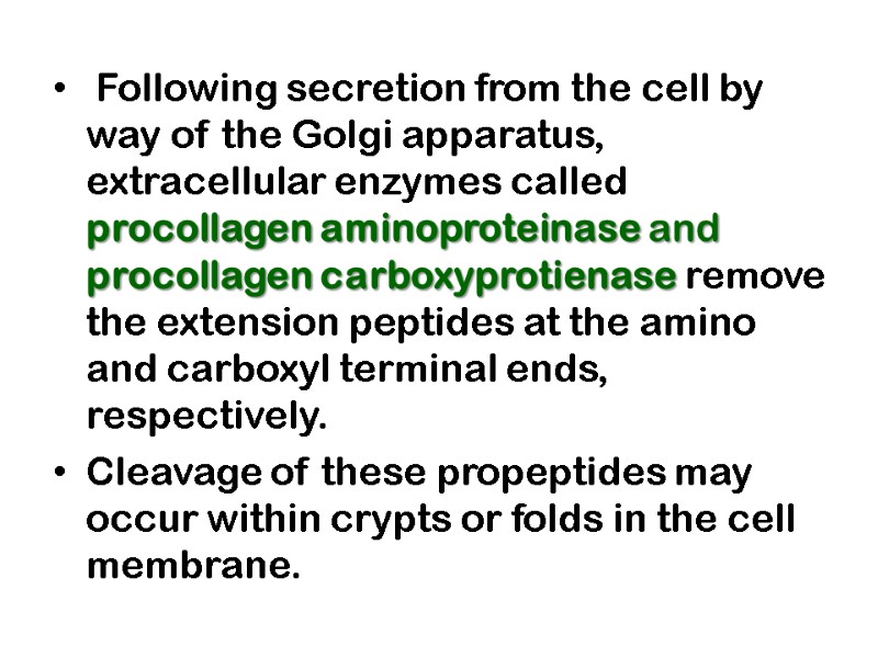 Following secretion from the cell by way of the Golgi apparatus, extracellular enzymes called